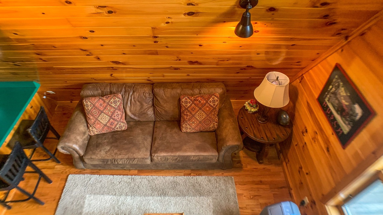 Photo of Livingroom in Lansing