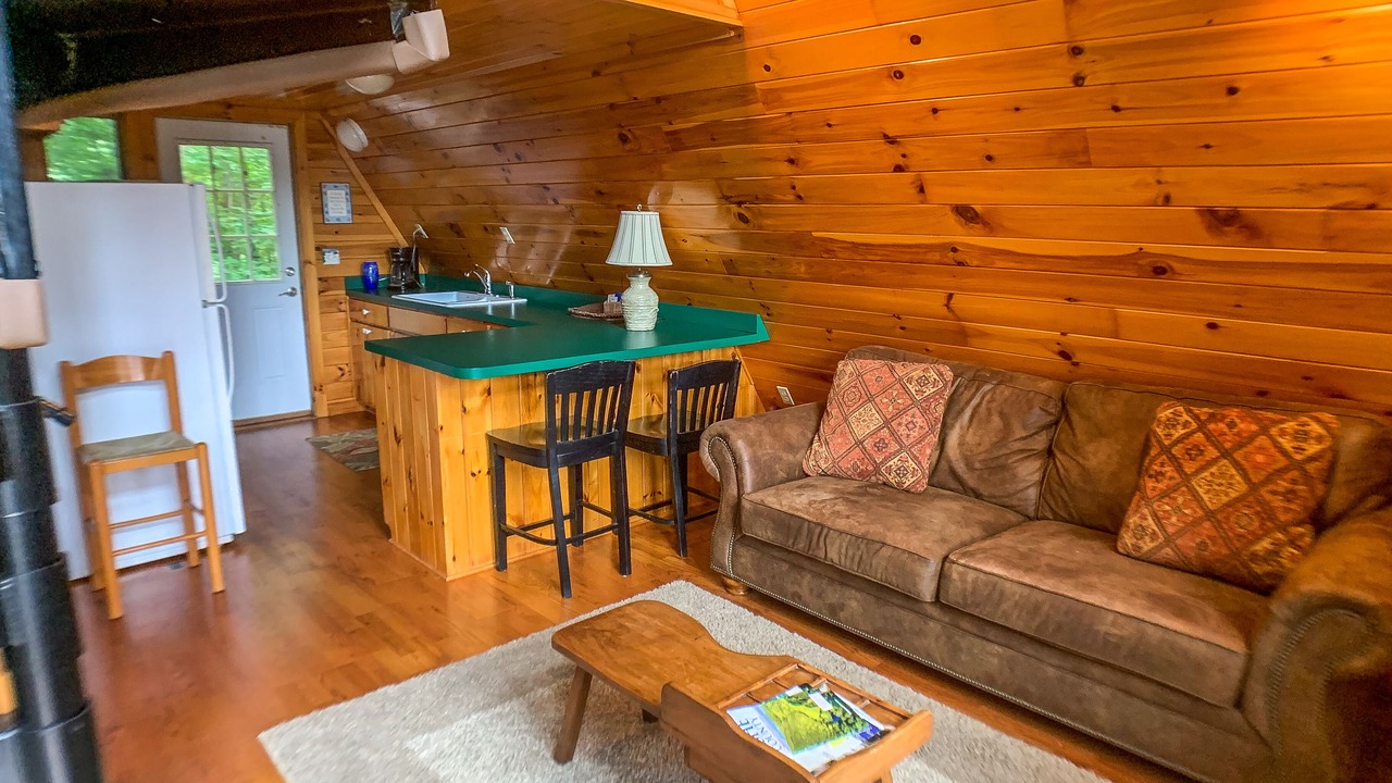 Photo of Livingroom in Lansing