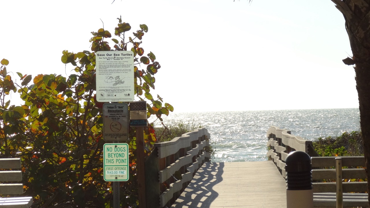 Photo of Others in Indian Rocks Beach