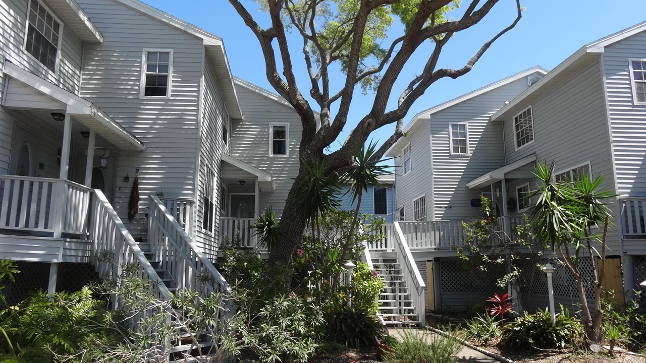 Photo of Others in Indian Rocks Beach