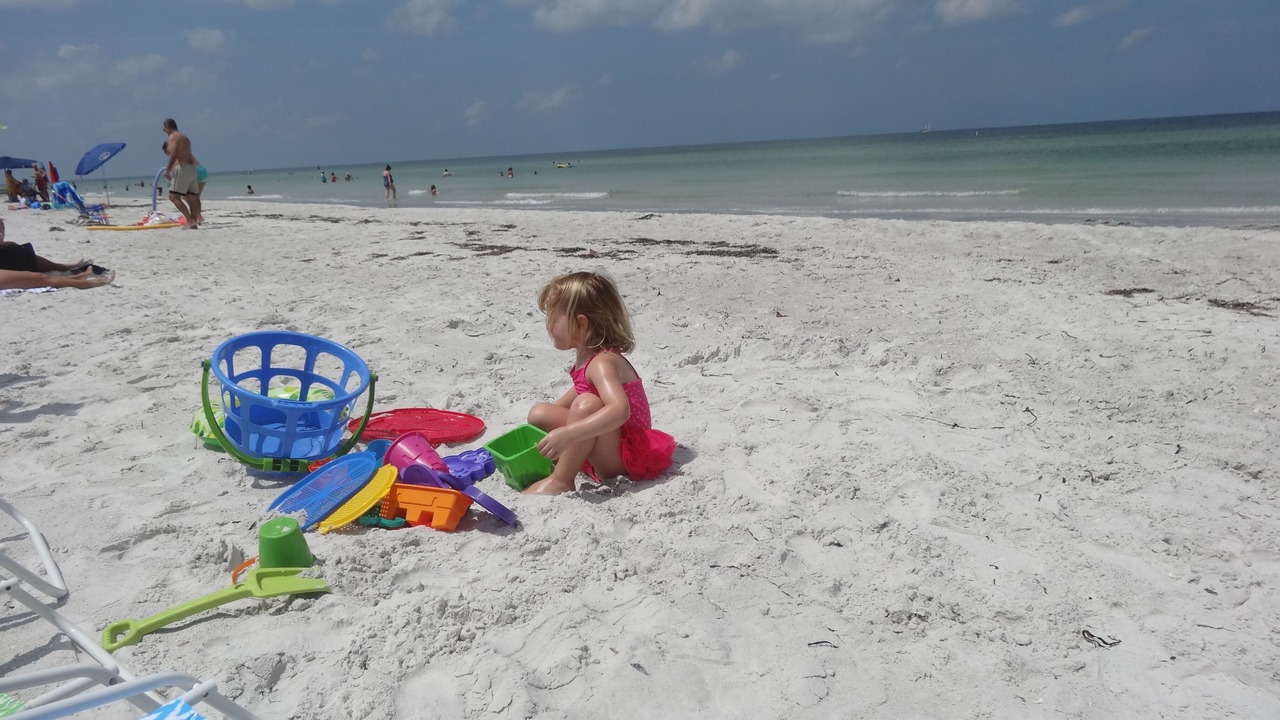 Photo of Others in Indian Rocks Beach