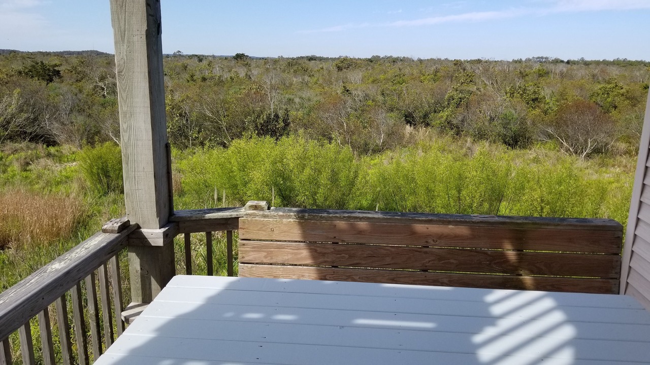 Photo of Outdoor in South Nags Head