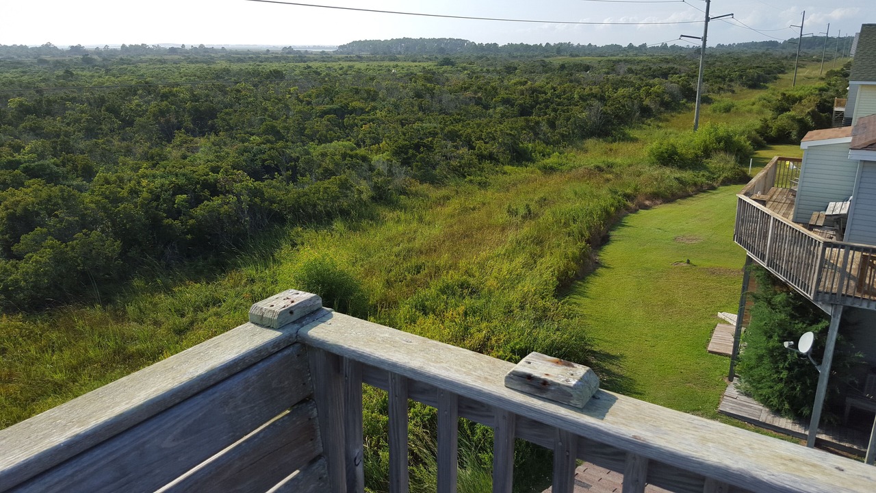 Photo of Others in South Nags Head