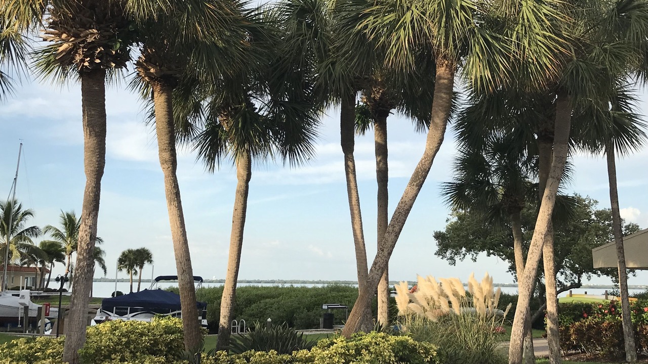 Photo of Others in Longboat Key