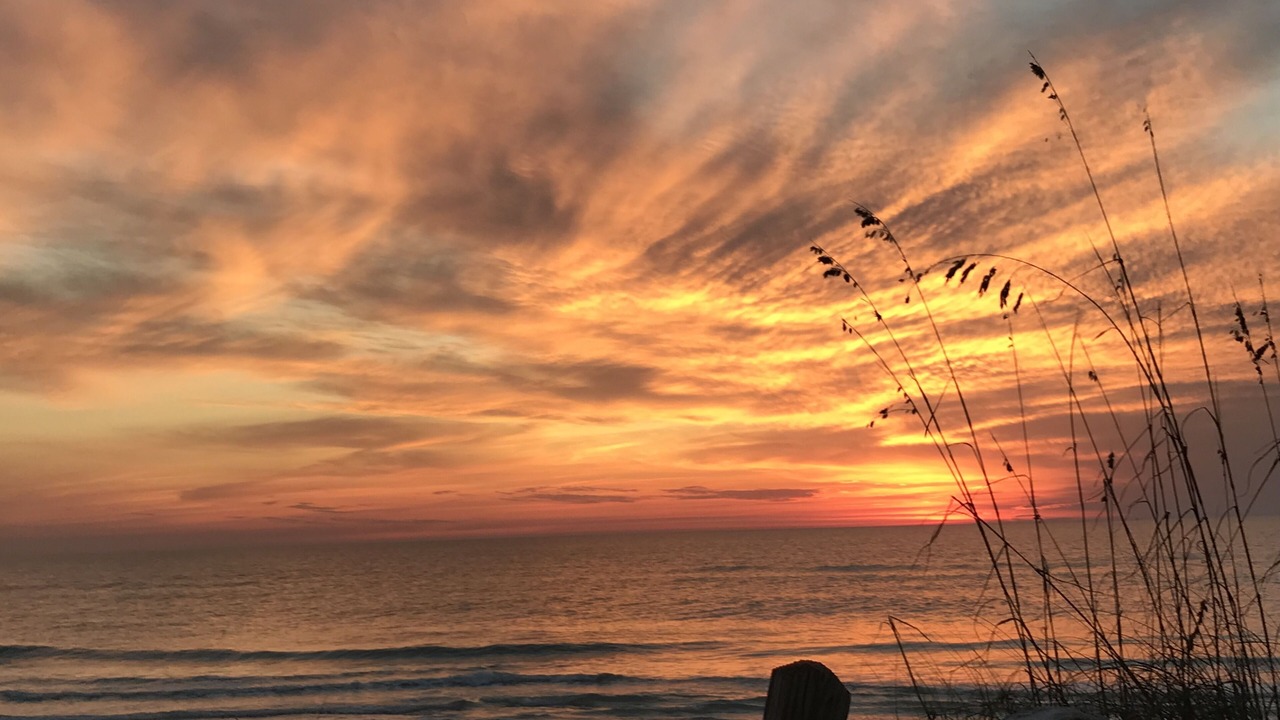 Photo of Others in Longboat Key