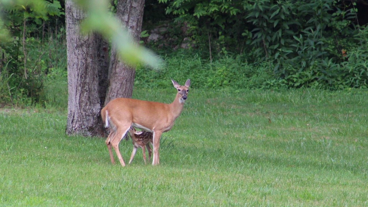 Photo of Others in Crossville