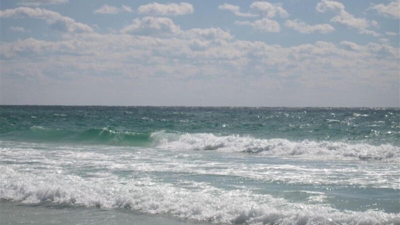 Photo of Others in Seagrove Beach