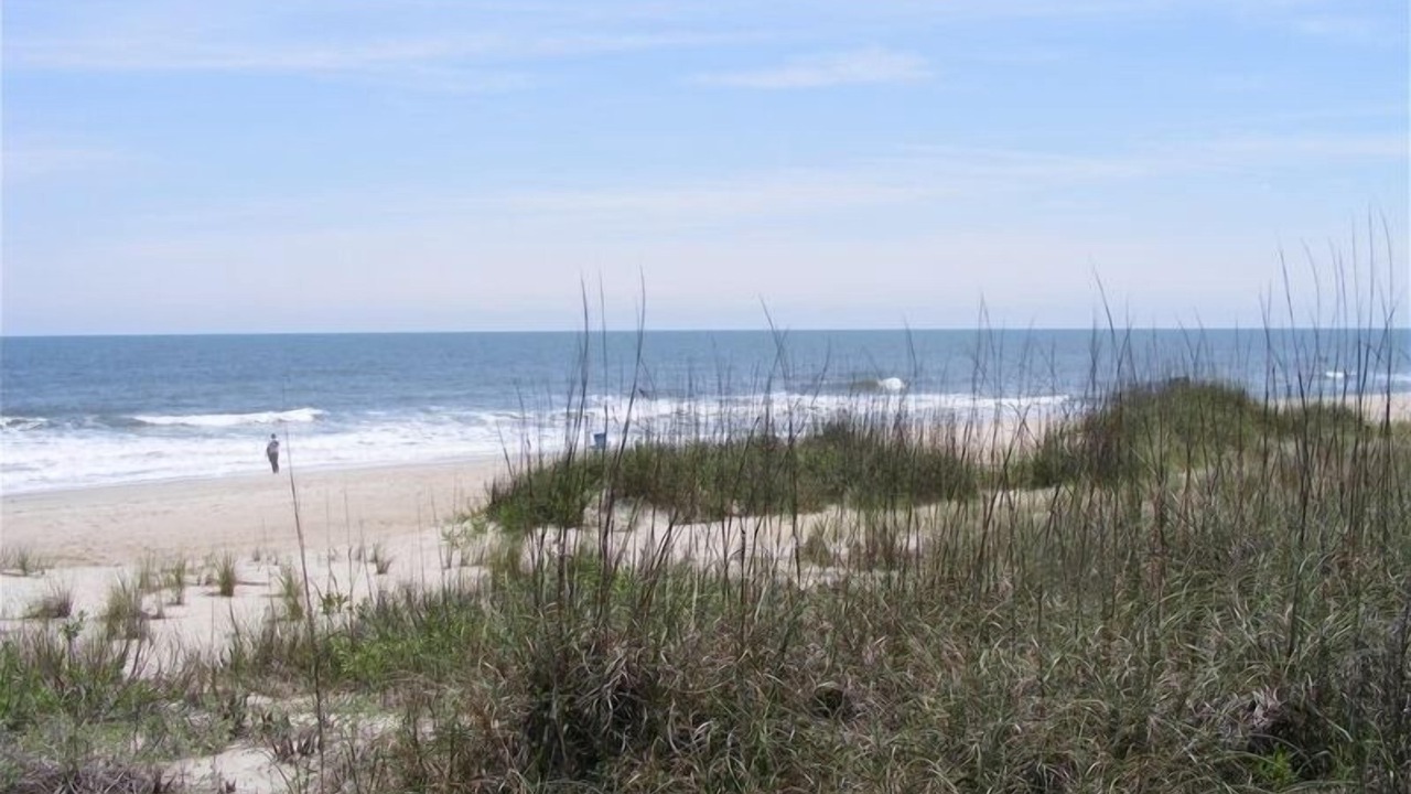 Photo of Others in Carolina Beach