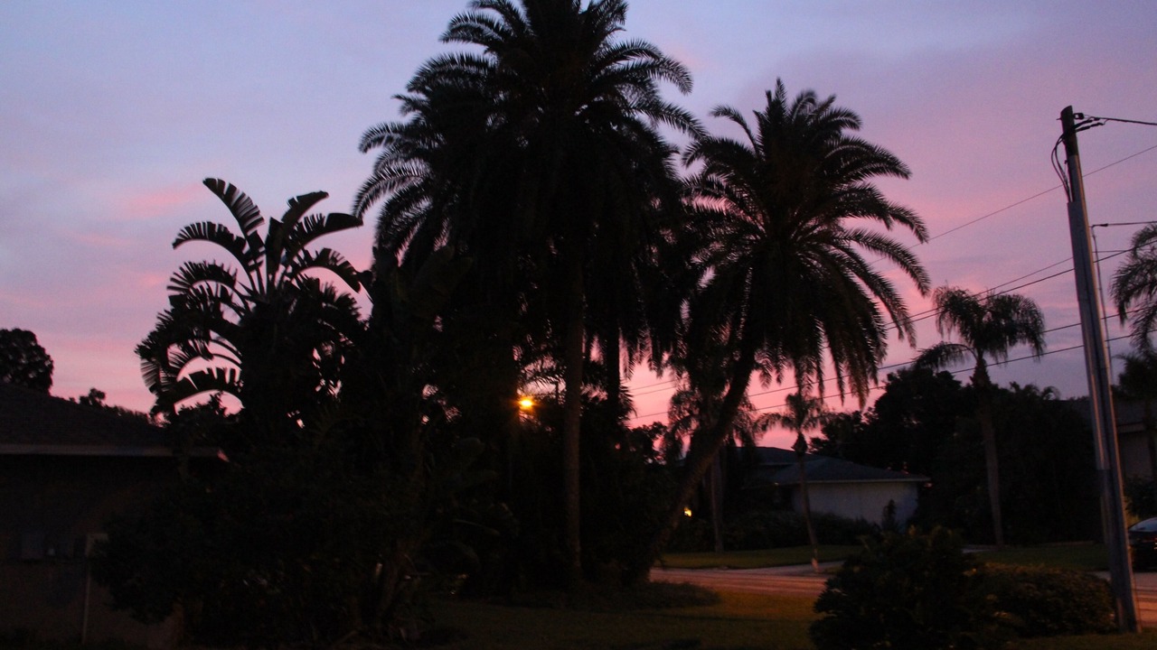 Photo of Outdoor in Coquina Key