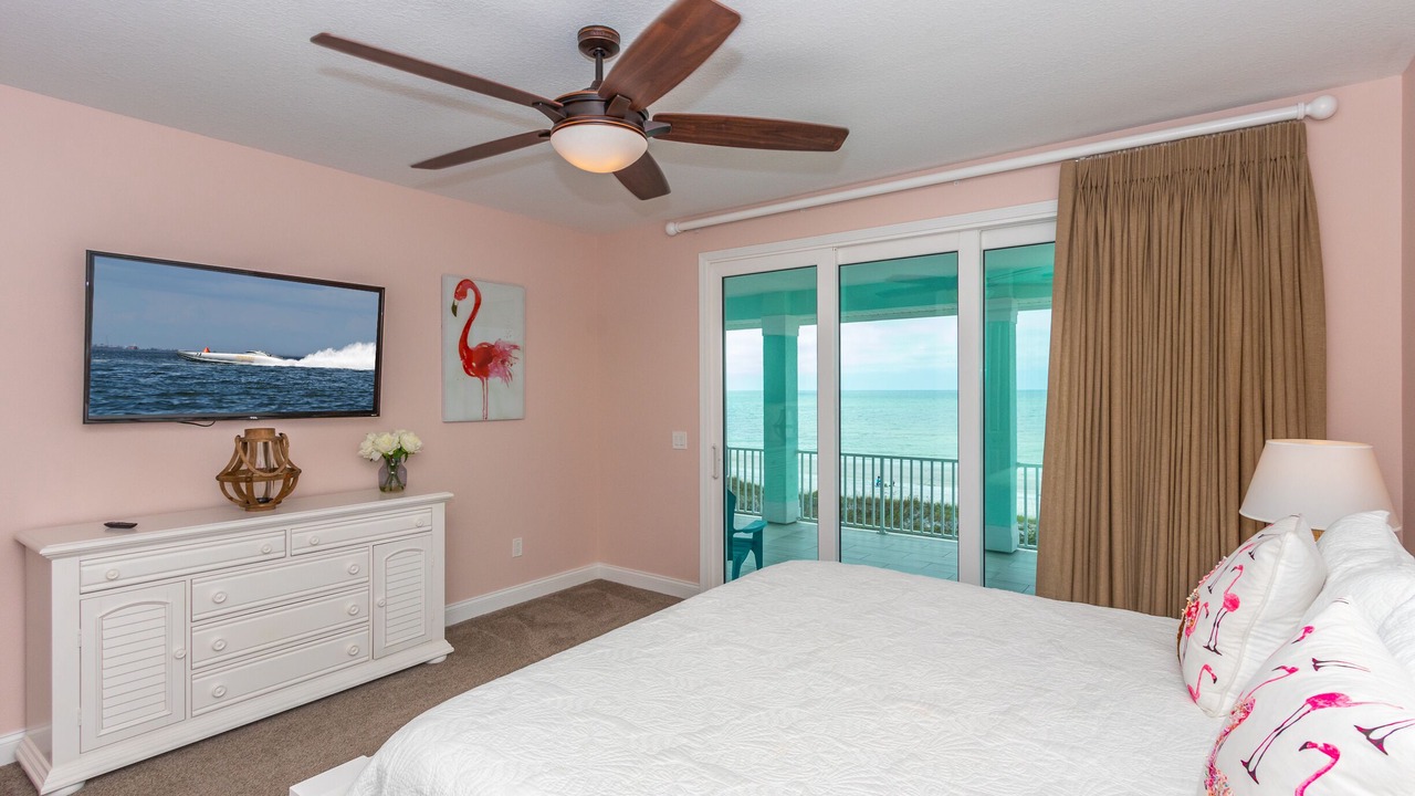 Photo of Others in Indian Rocks Beach