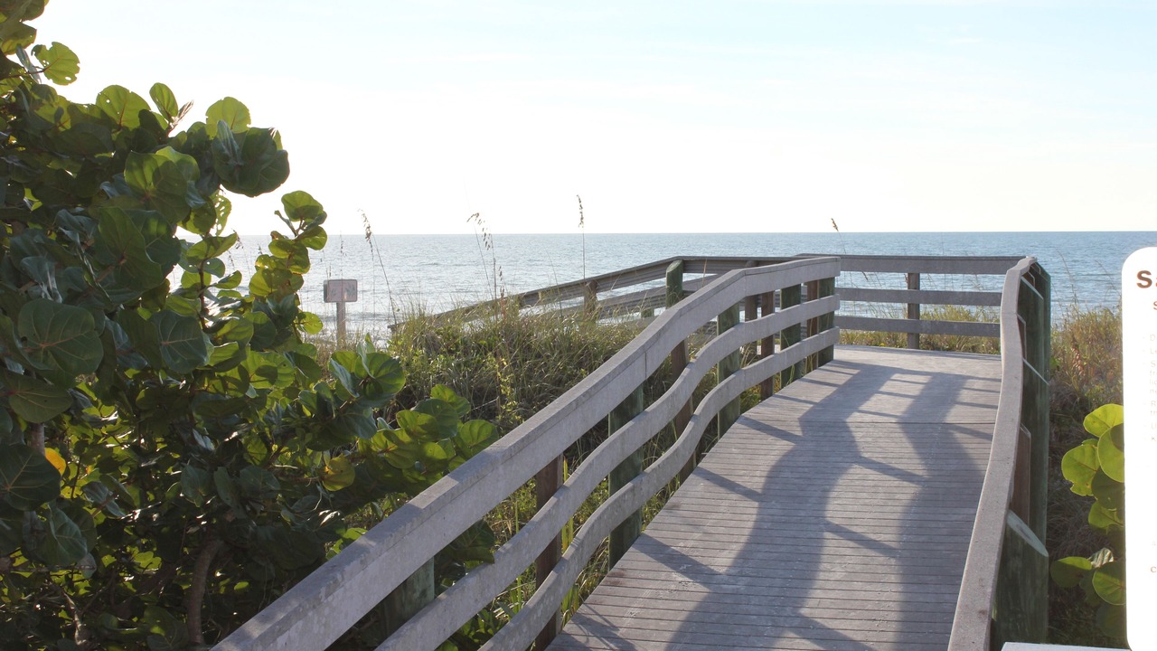 Photo of Others in Indian Rocks Beach