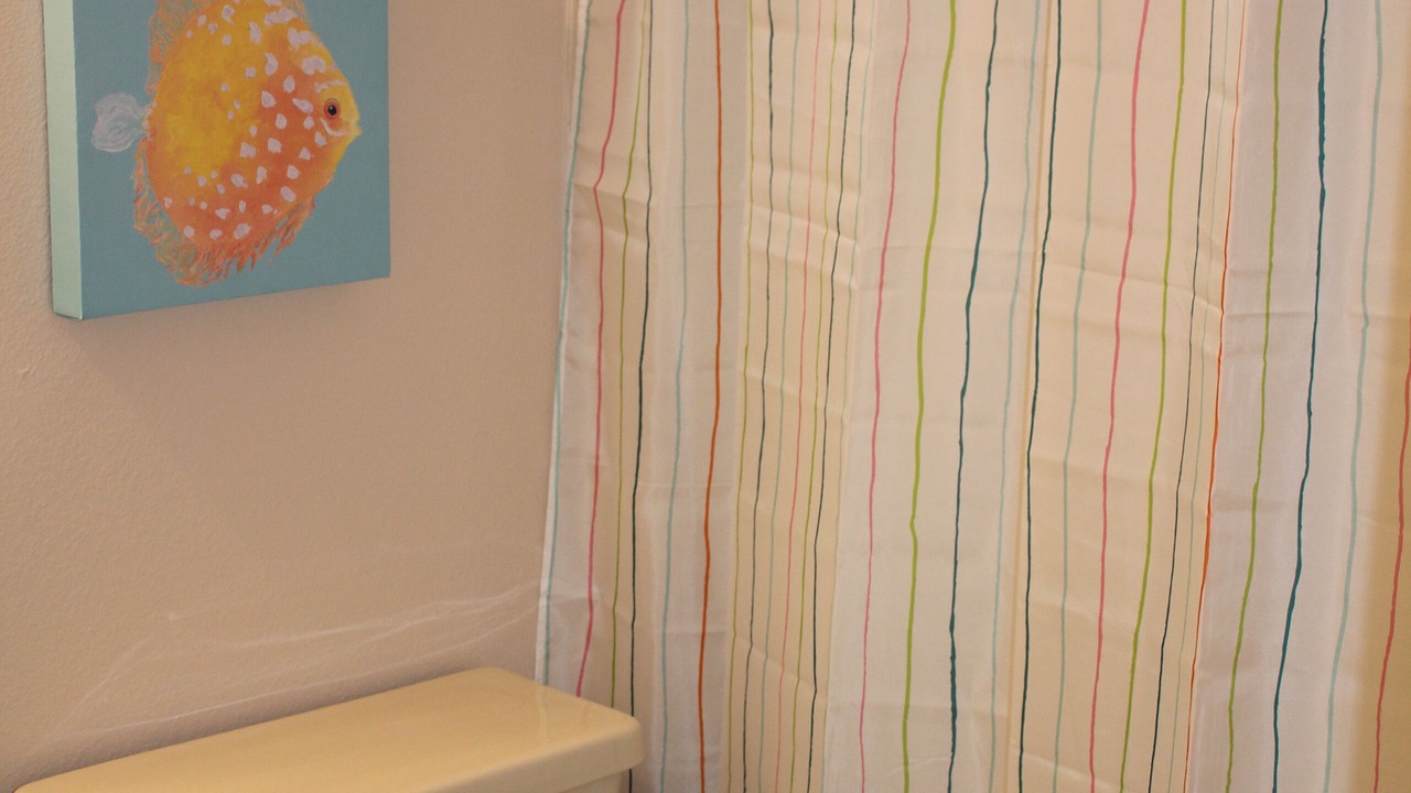 Photo of Bathroom in Indian Rocks Beach