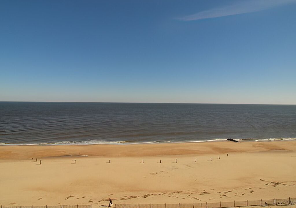 Photo of Others in South Rehoboth