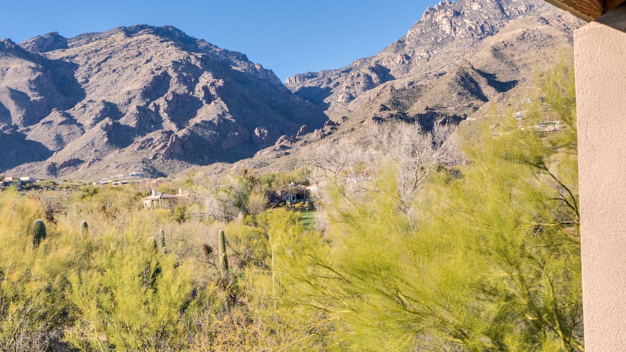 Photo of Others in Tucson