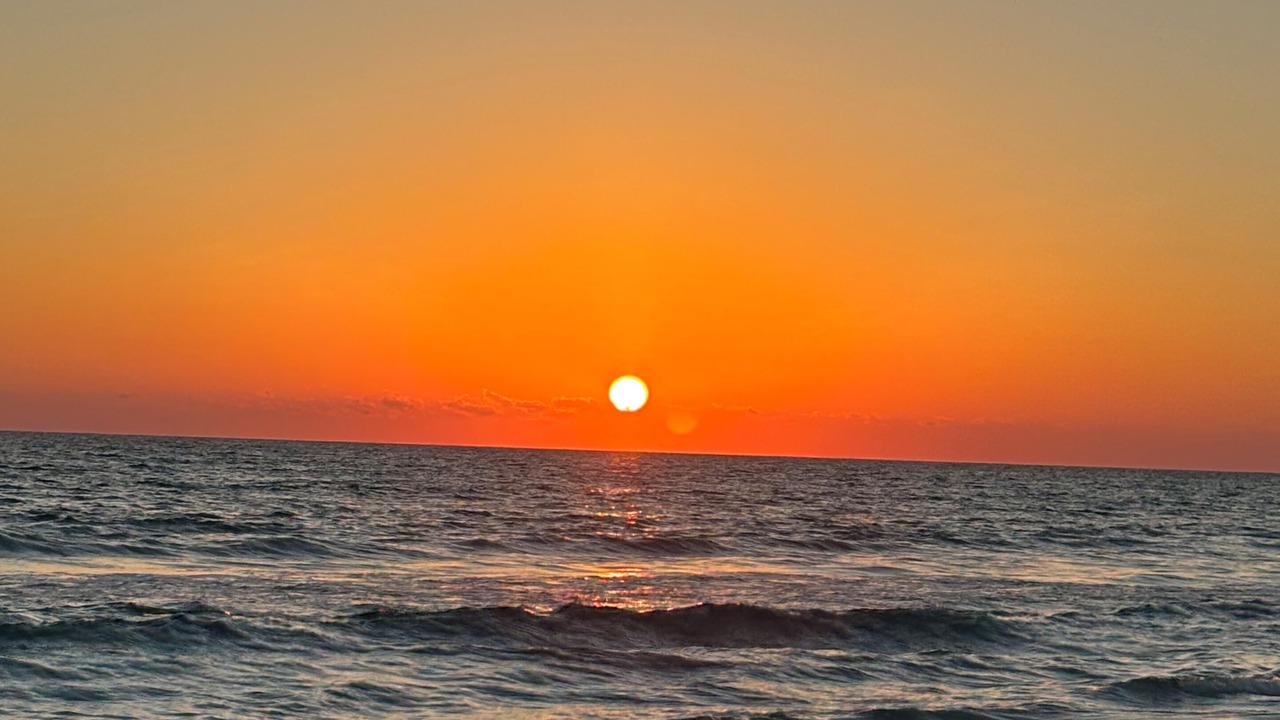 Photo of Others in Seagrove Beach