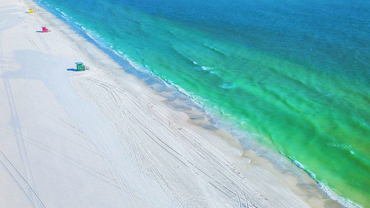 Photo of Others in Sarasota
