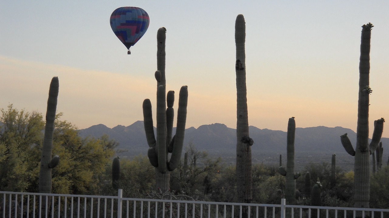 Photo of Outdoor in Cortaro