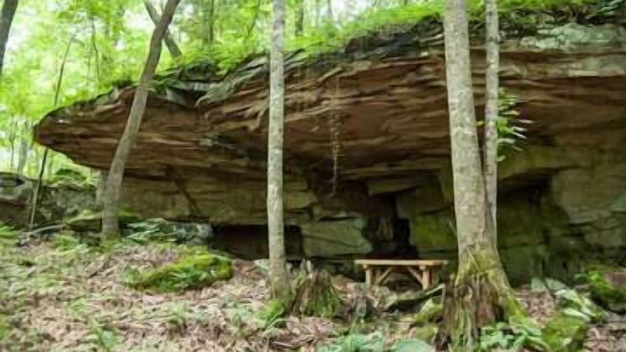 Photo of Others in Fairfield Glade