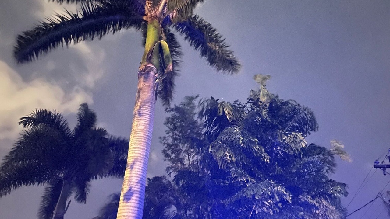 Photo of Others in Wilton Manors