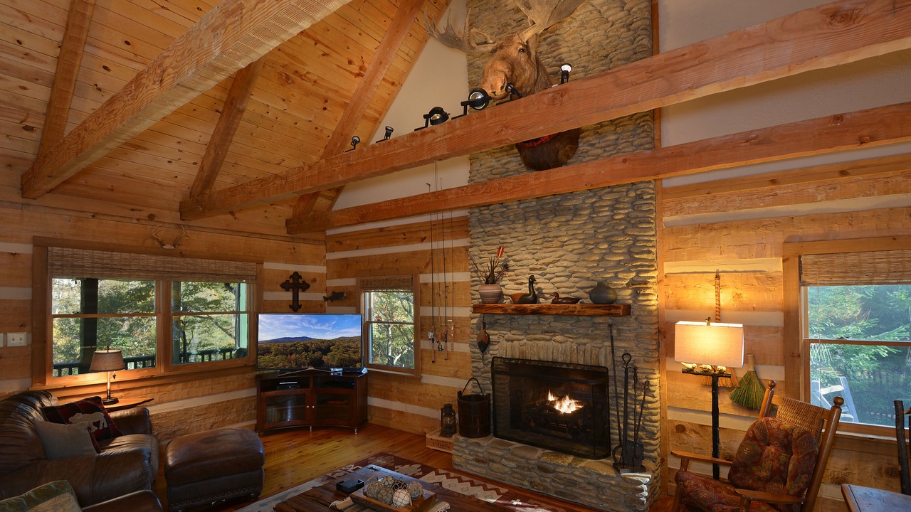 Photo of Livingroom in Seven Devils