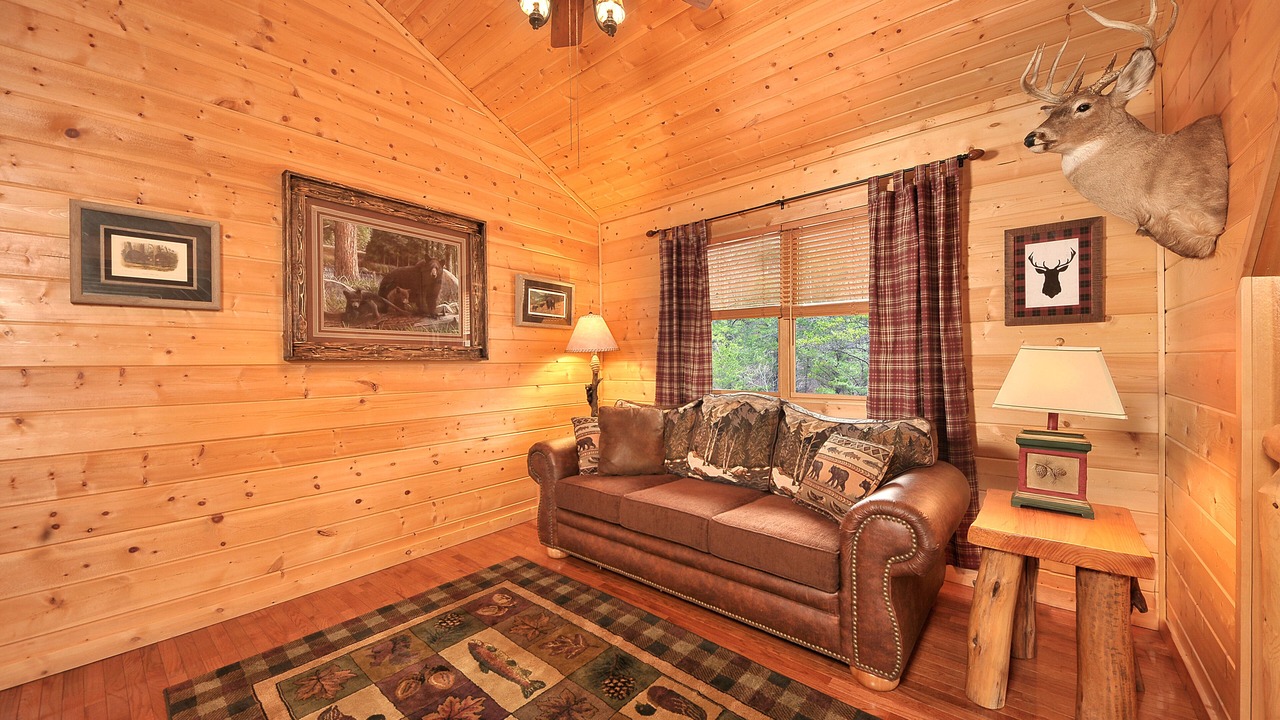 Photo of Livingroom in Smoky Mountains