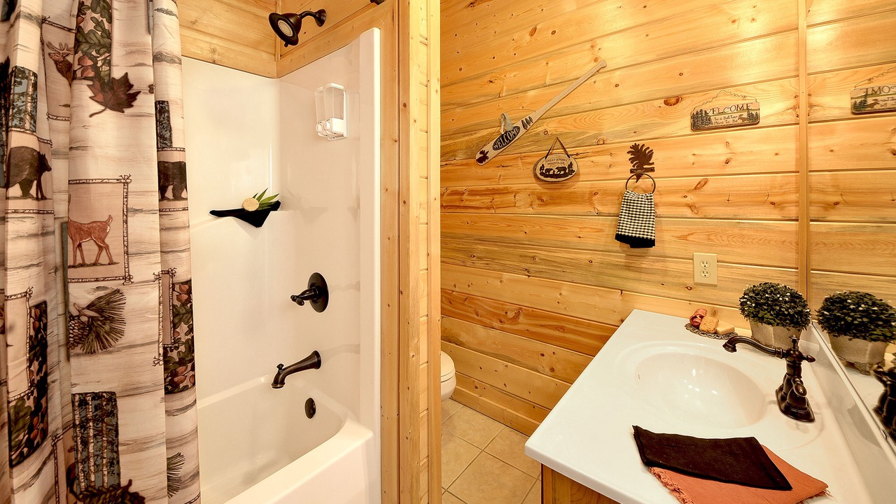 Photo of Bathroom in Smoky Mountains