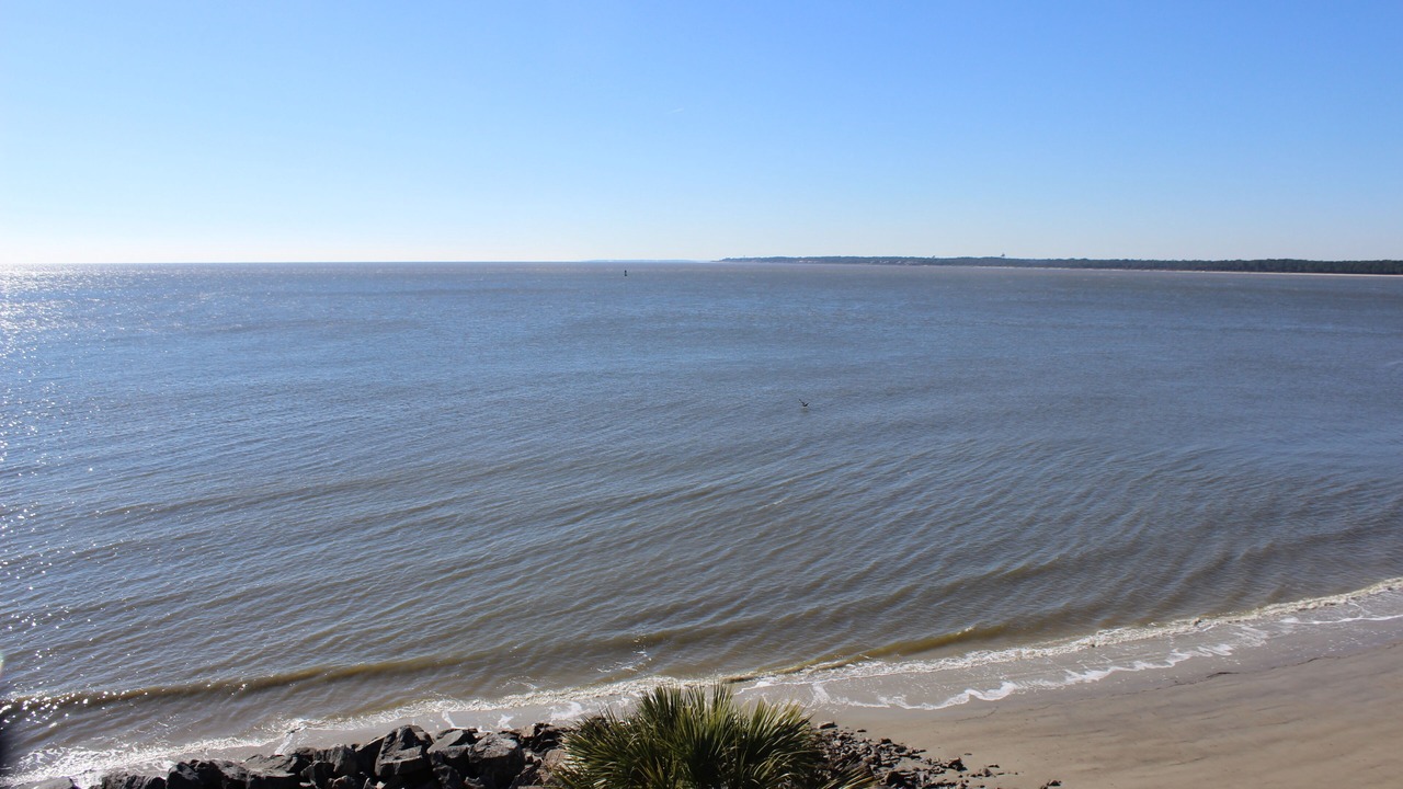 Photo of Others in Saint Simons Island