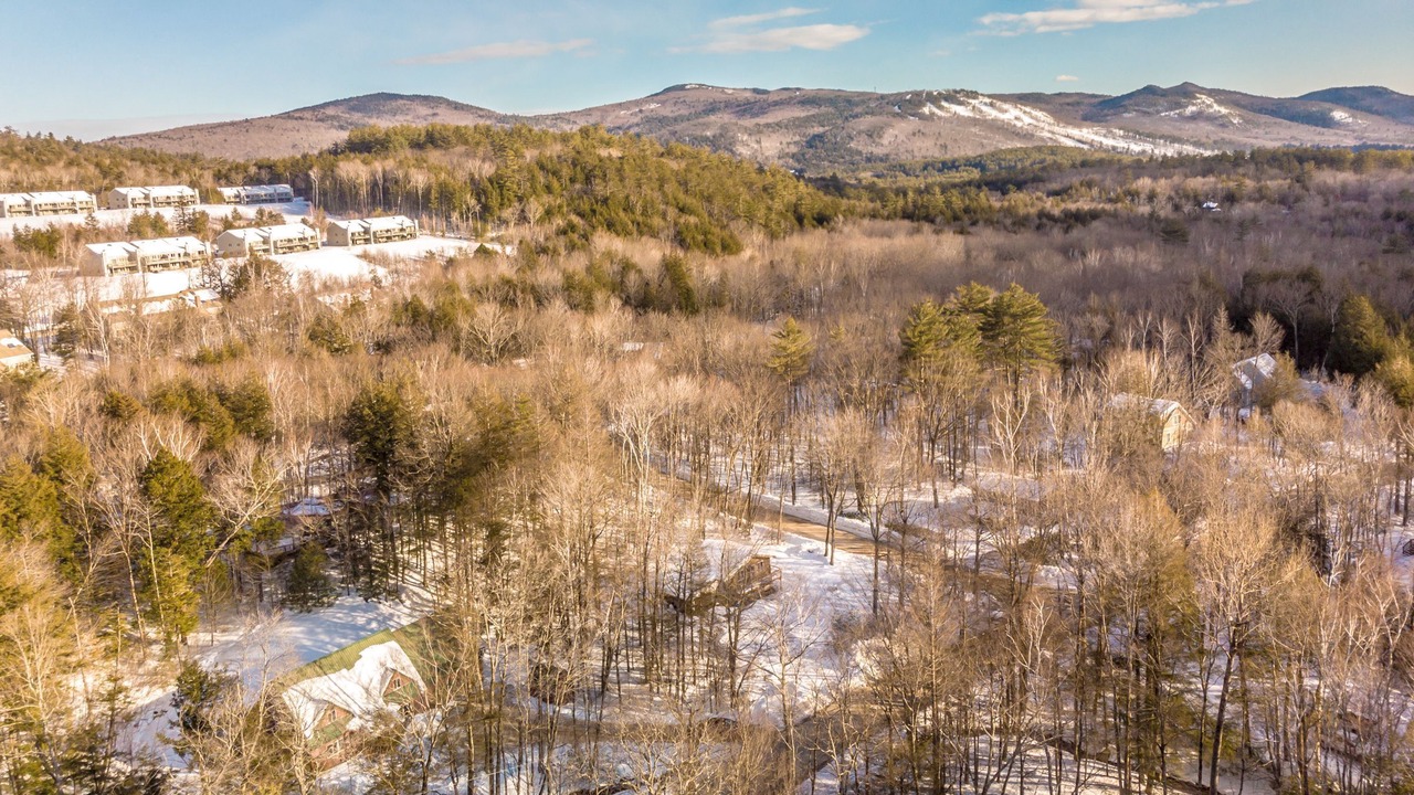Photo of Outdoor in Intervale