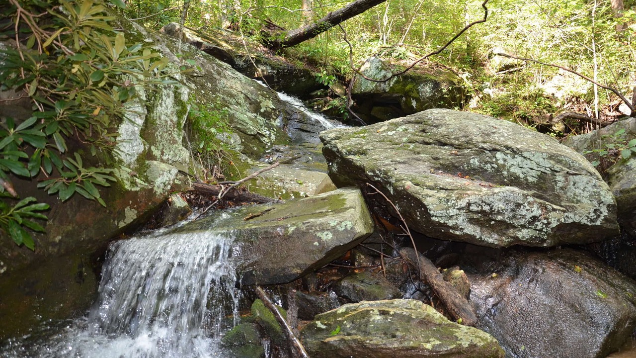 Photo of Outdoor in Deep Gap