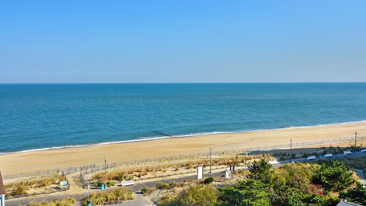 Photo of Others in Rehoboth Beach