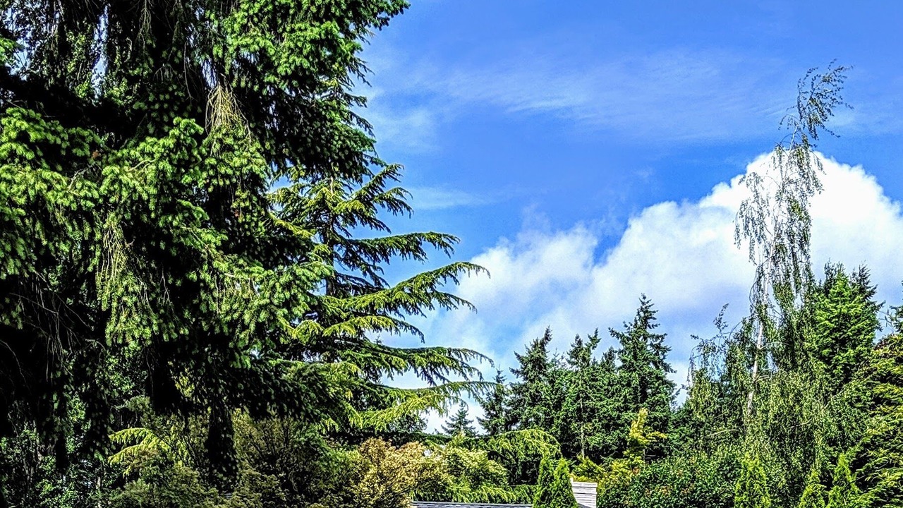 Photo of Outdoor in SeaTac