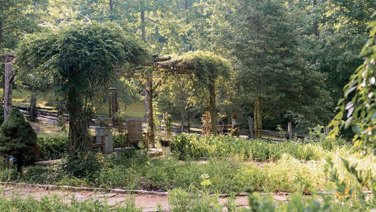 Photo of Outdoor in Clayton