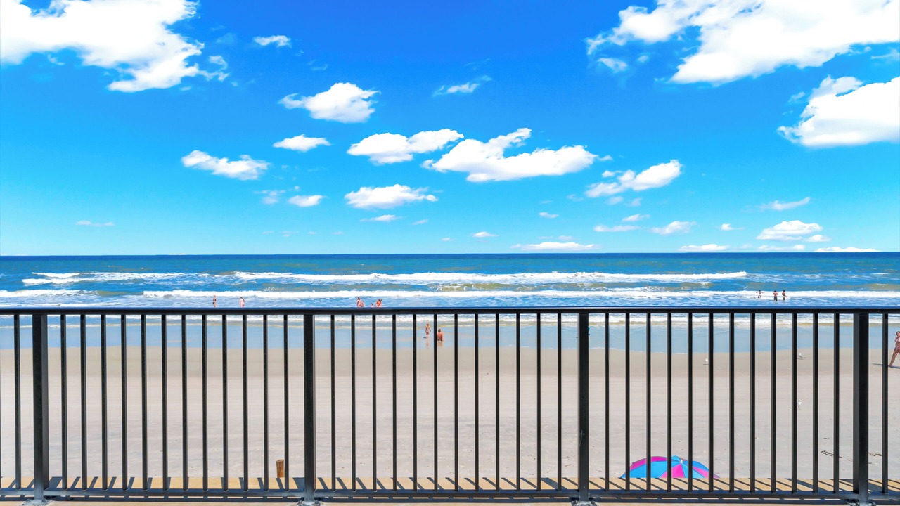Photo of Others in Daytona Beach Shores
