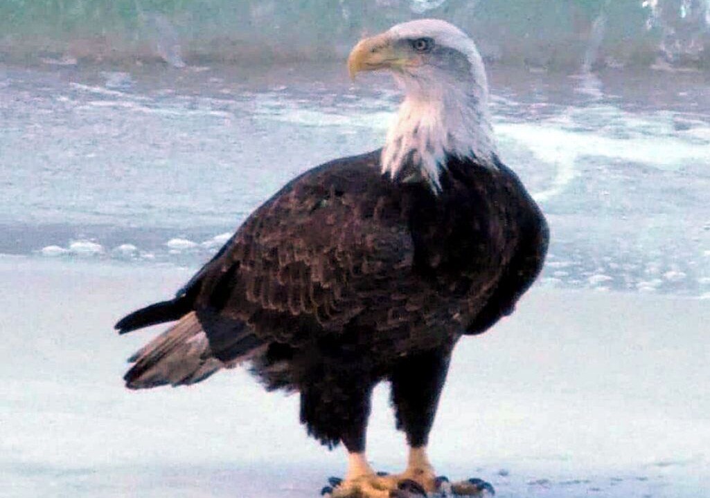 Photo of Others in Laguna Beach