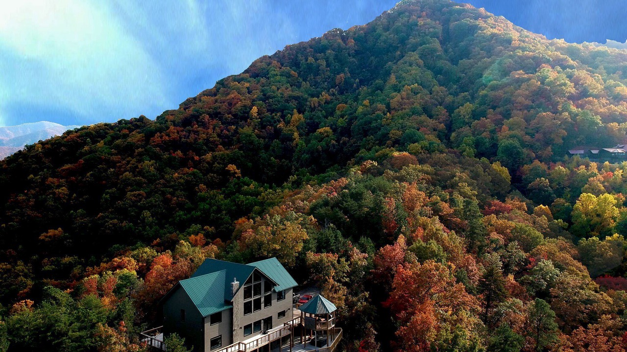 Photo of Others in Wears Valley