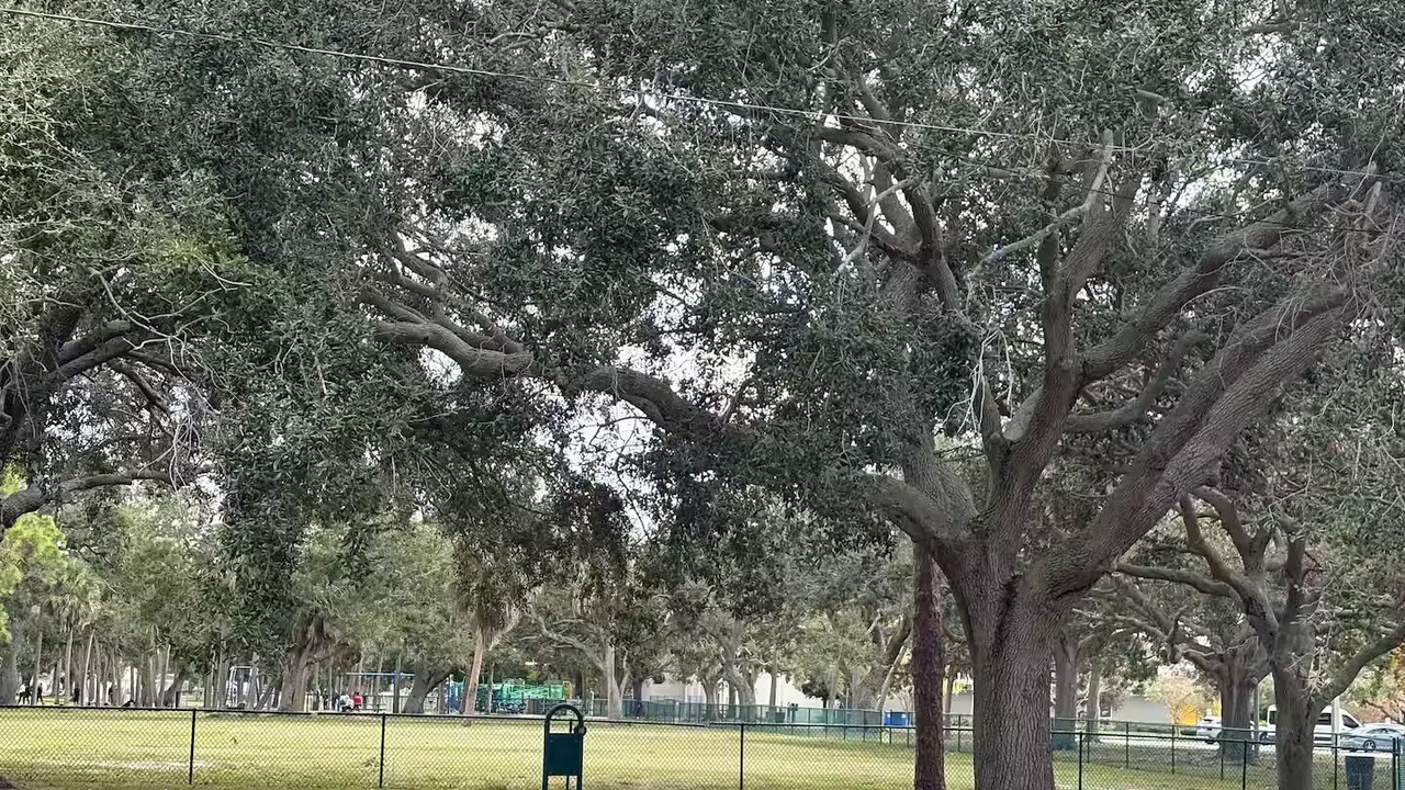 Photo of Others in Greater Pinellas Point