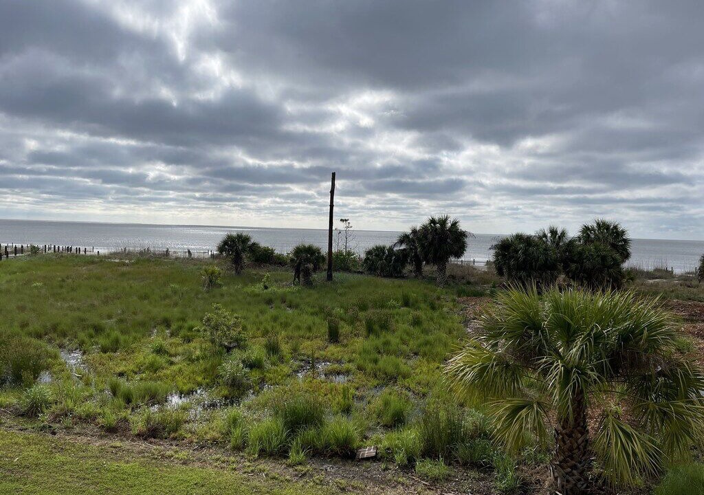 Photo of Others in Daufuskie Island