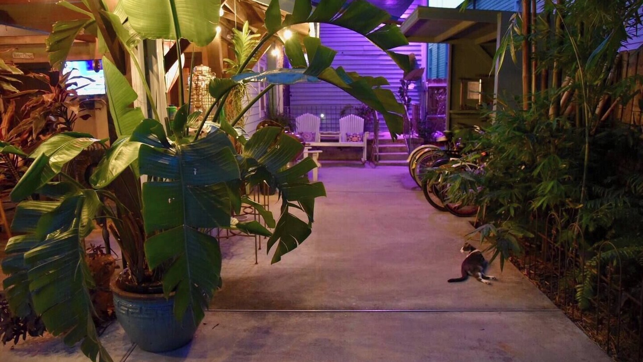 Photo of Outdoor in Treme