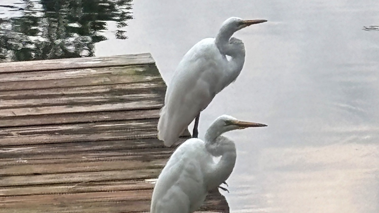 Photo of Others in Country Club Estates