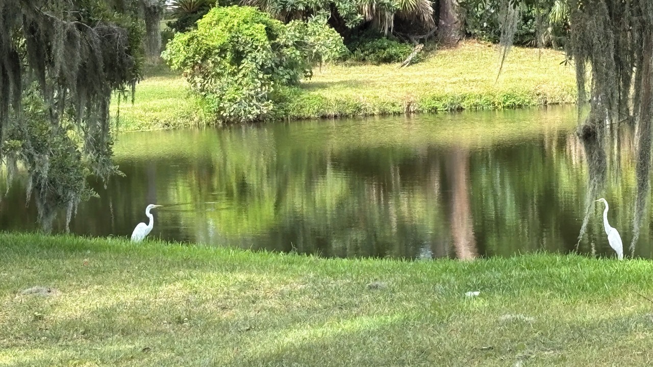 Photo of Others in Country Club Estates