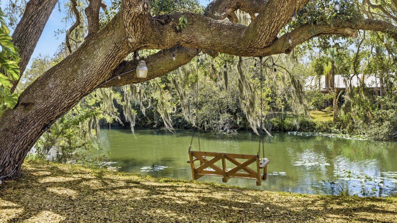Photo of Others in Lake Sarasota