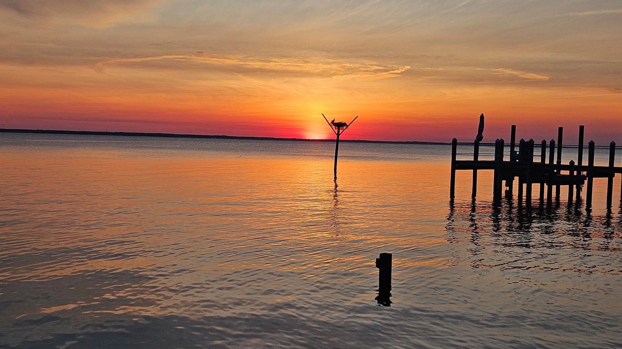 Photo of Others in Southern Shores