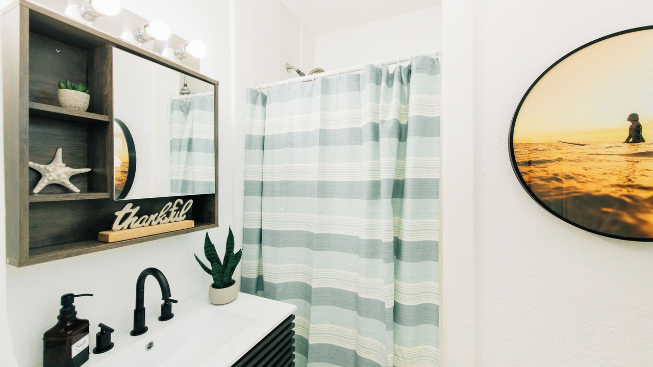 Photo of Bathroom in St. Pete Beach