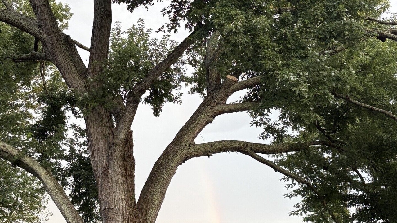 Photo of Others in Middleburg