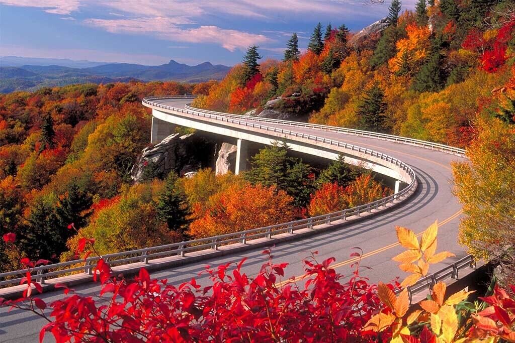 Photo of Others in Boone