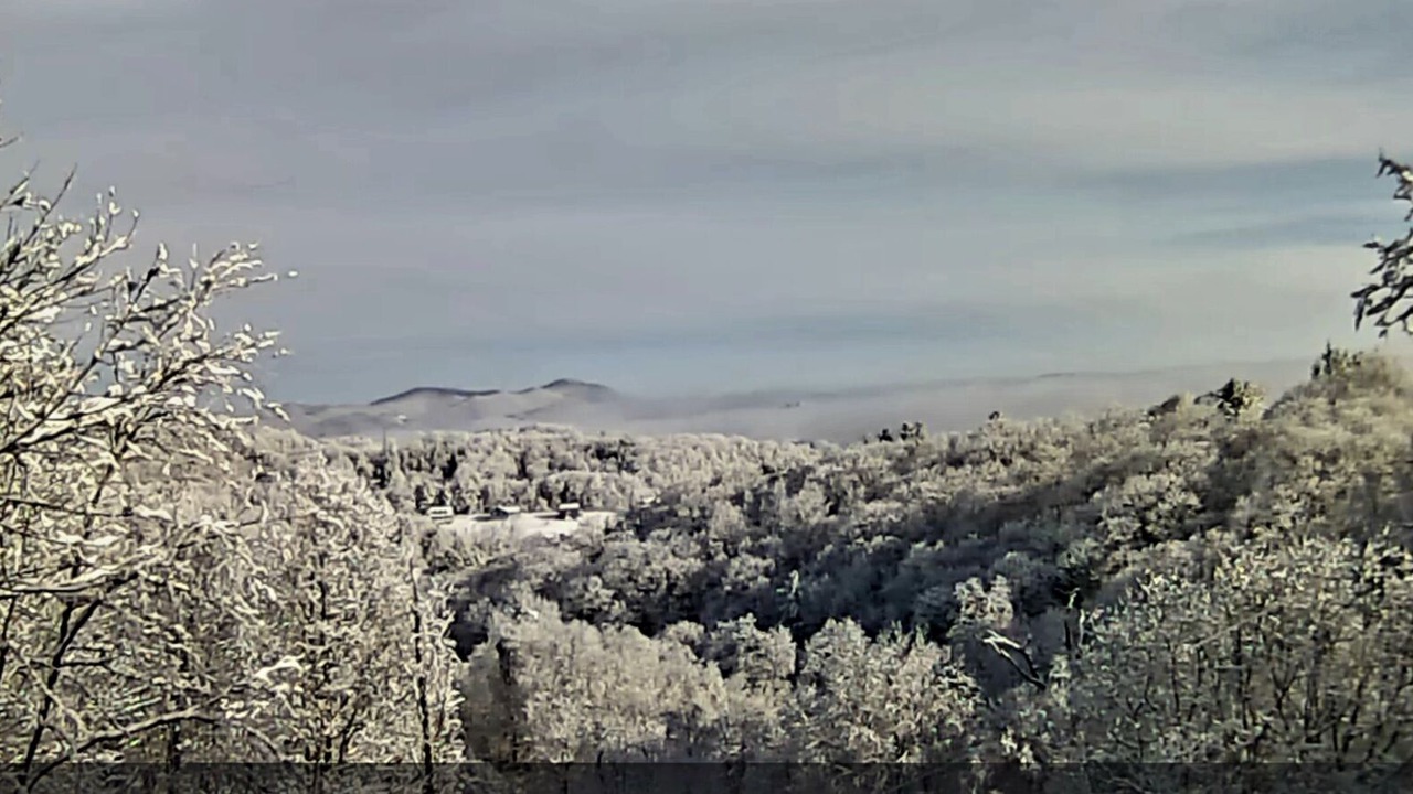 Photo of Others in Boone