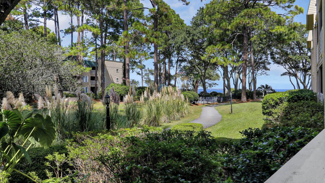 Photo of Outdoor in Palmetto Dunes