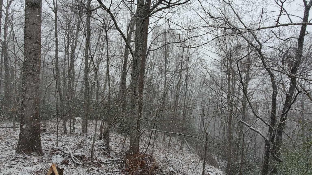 Photo of Others in Burnsville