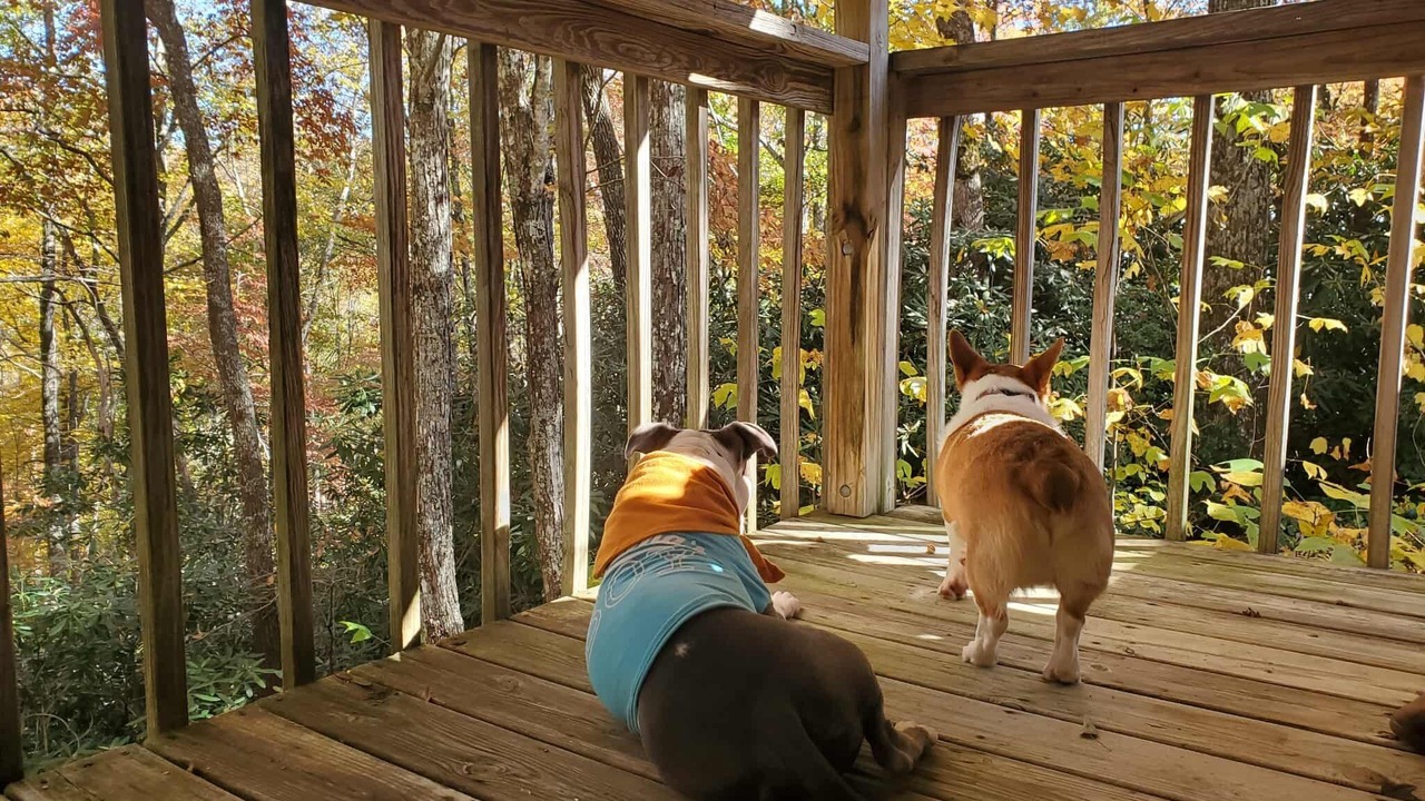 Photo of Outdoor in Burnsville
