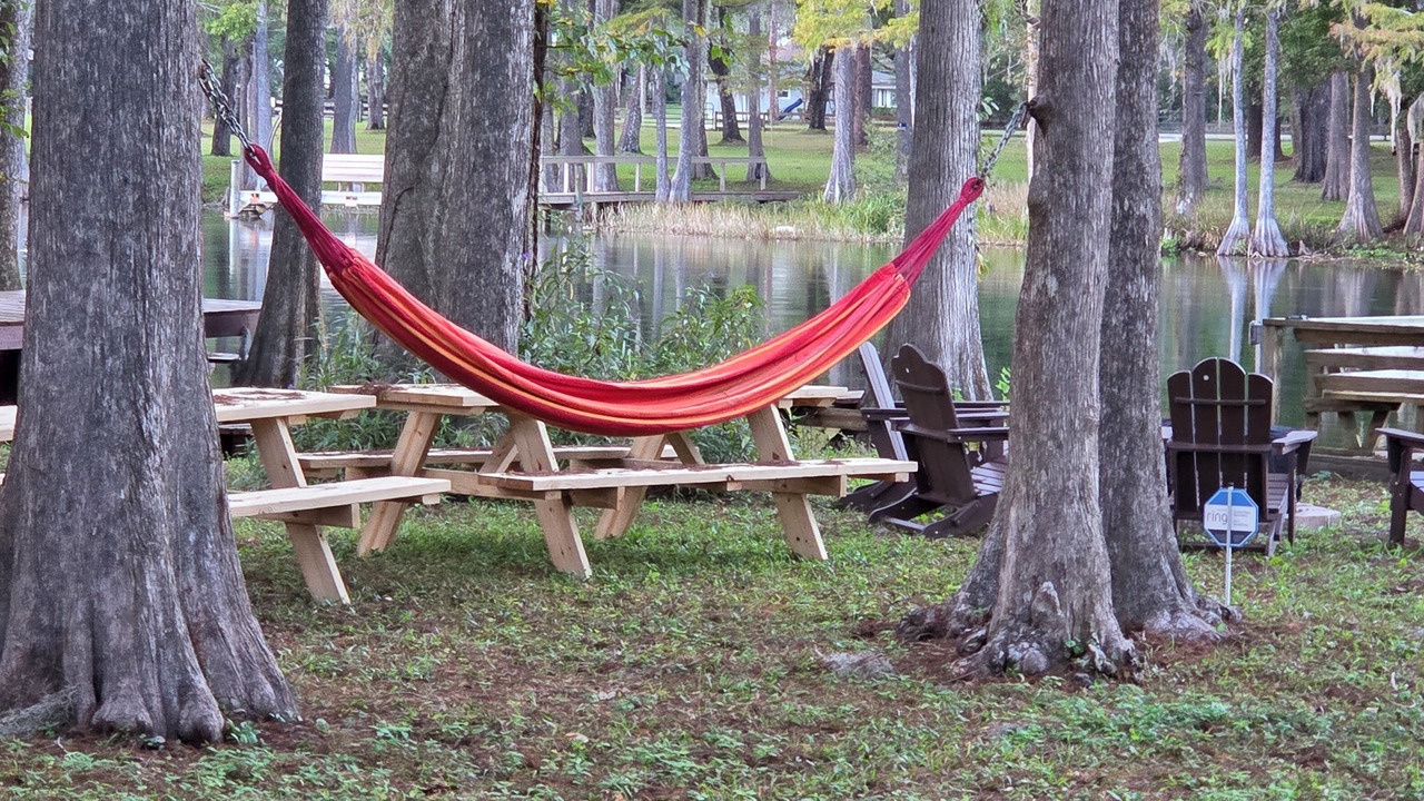 Photo of Others in Dunnellon